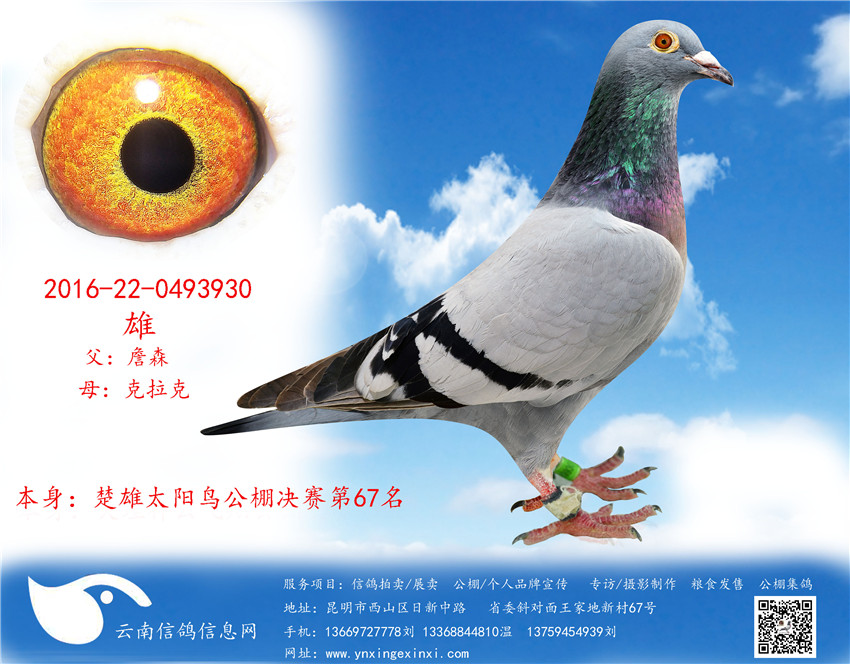 1499251566142263.jpg 930.jpg