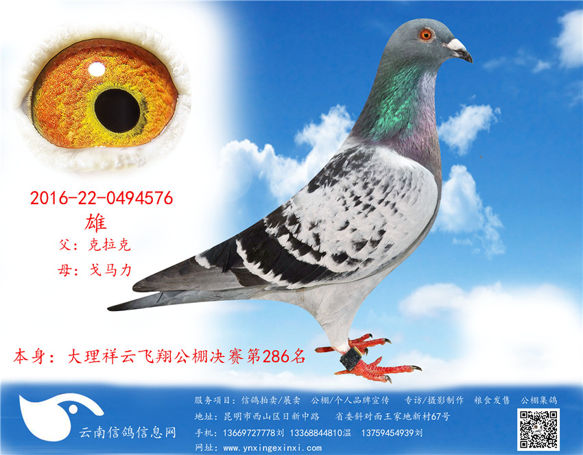 1499318874114610.jpg 576_副本1.jpg