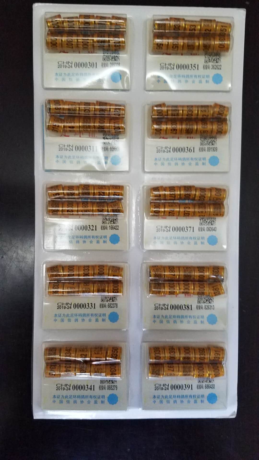 1547173327583855.jpg 3号段.jpg